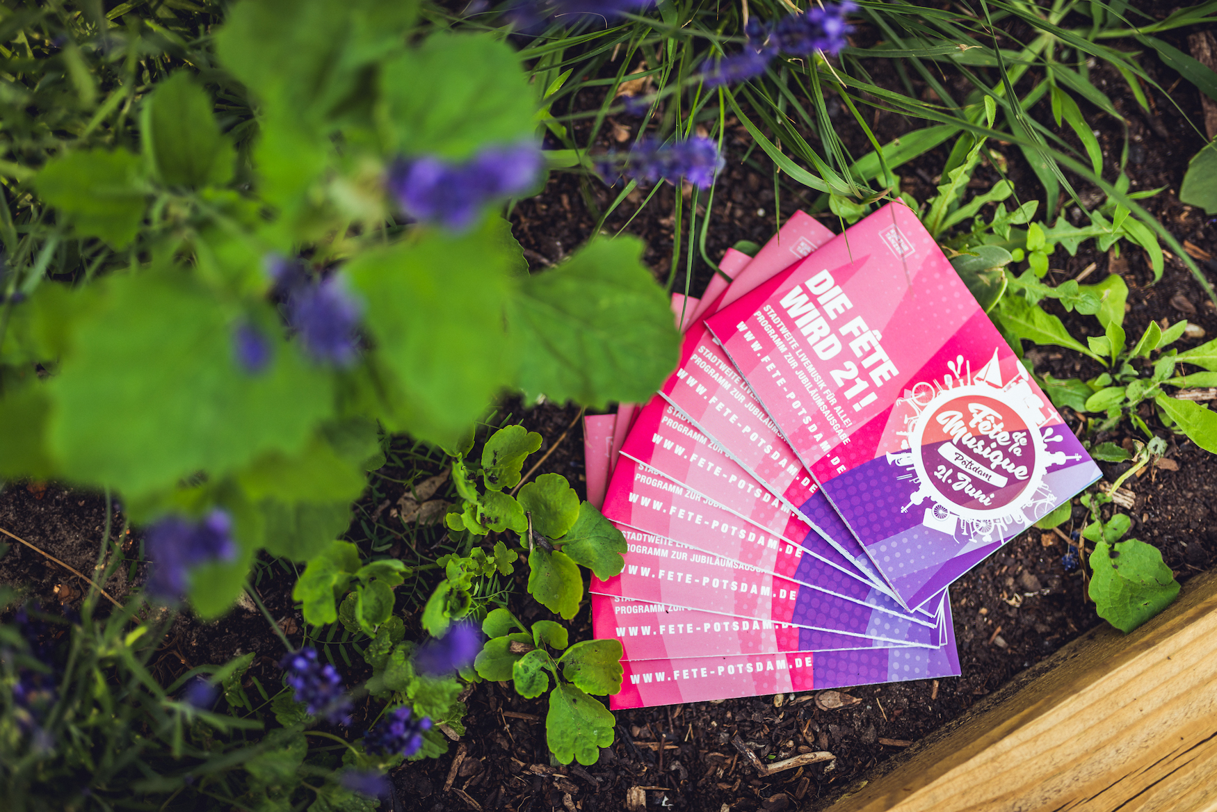 2025-fete-de-la-musique-potsdam-robert-kujas-DSC_7177